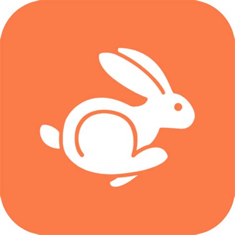 Rabbit Vpn Download